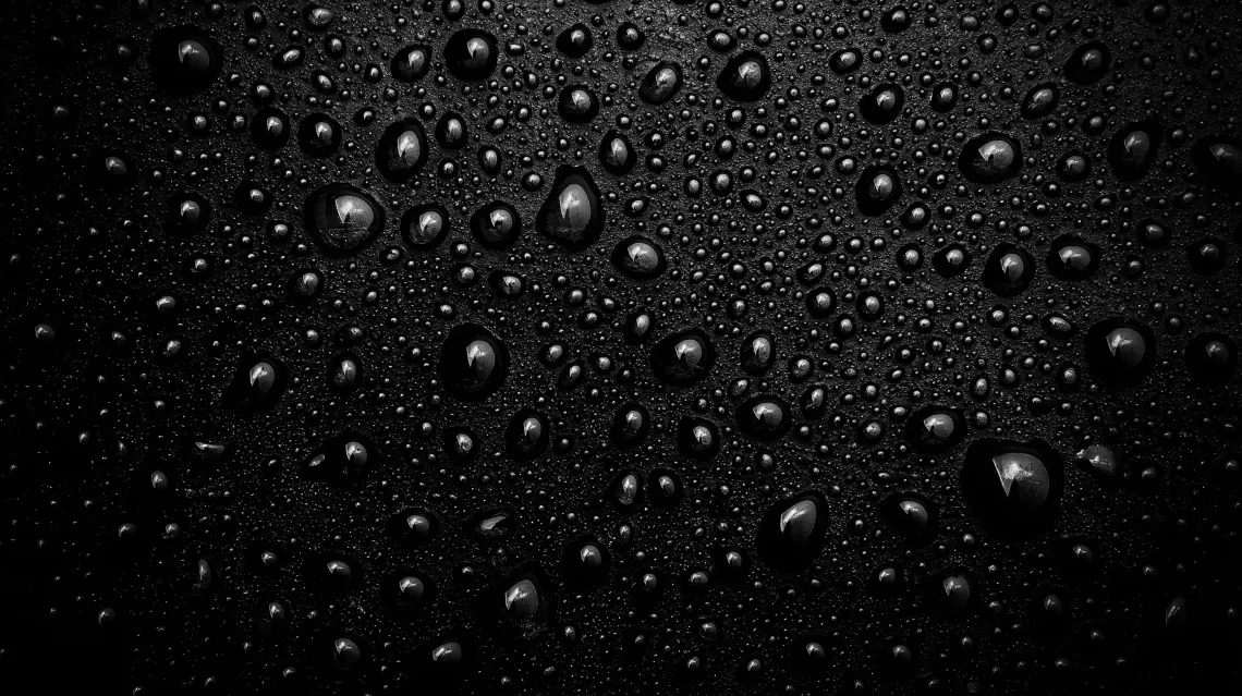 Close-up of raindrops arranged in a delicate natural pattern with light reflections.