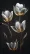 Assorted colorful flowers neatly arranged on a sleek black surface, creating a visually striking contrast. 