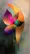 Realistic painting of a flower with vibrant petals in all colors of the rainbow